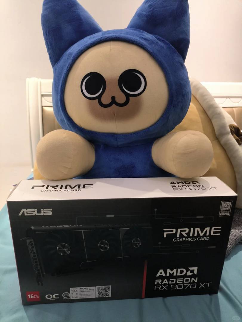 Boss, I Worked Overtime to Buy You a 9070xt Gaming Graphics Card!