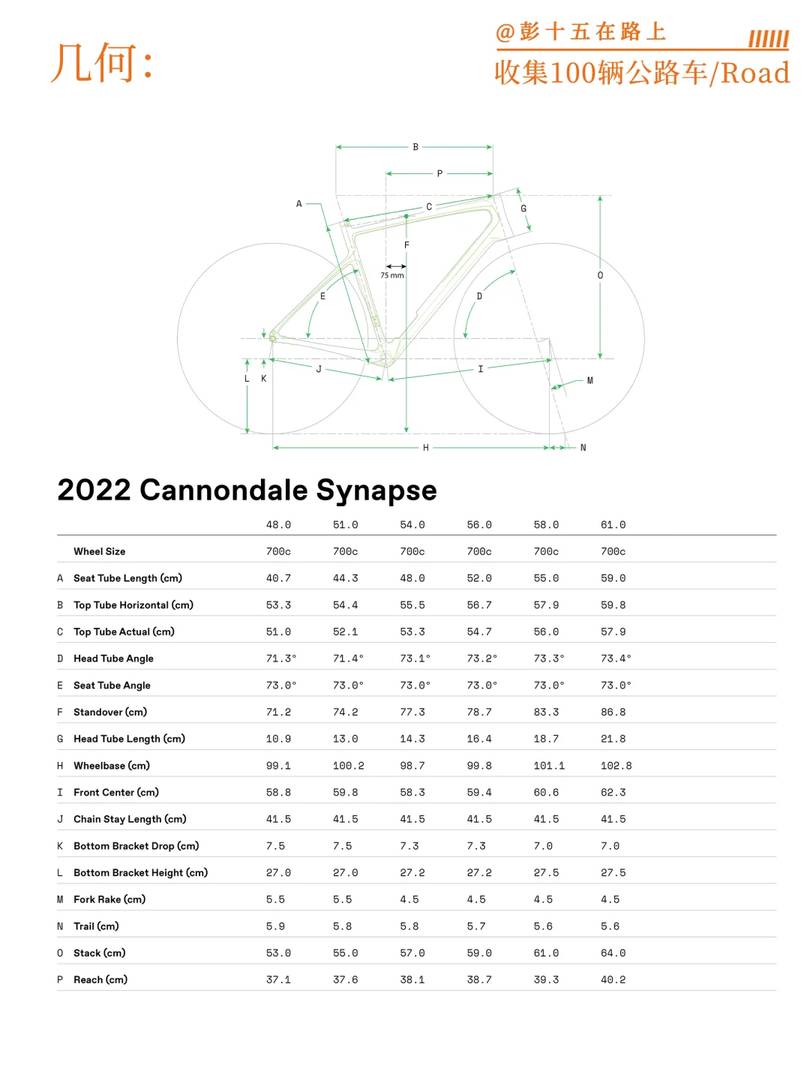 Cannondale Synapse Endurance Road Bike for Long Distance Riding