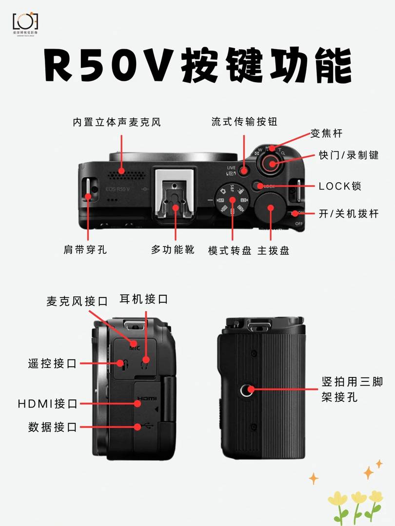 Canon EOS R50V Review: Six Key Features and Sample Images 📷