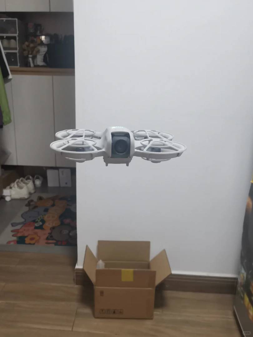 DJI Neo Drone Waste: Should I Keep It or Return It? (Already Returned)