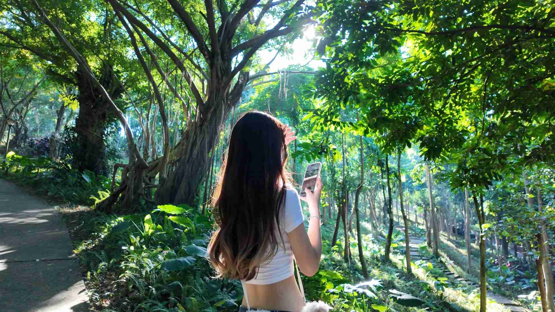 DJI Pocket 3: Compact Camera for Vloggers and Travel Enthusiasts