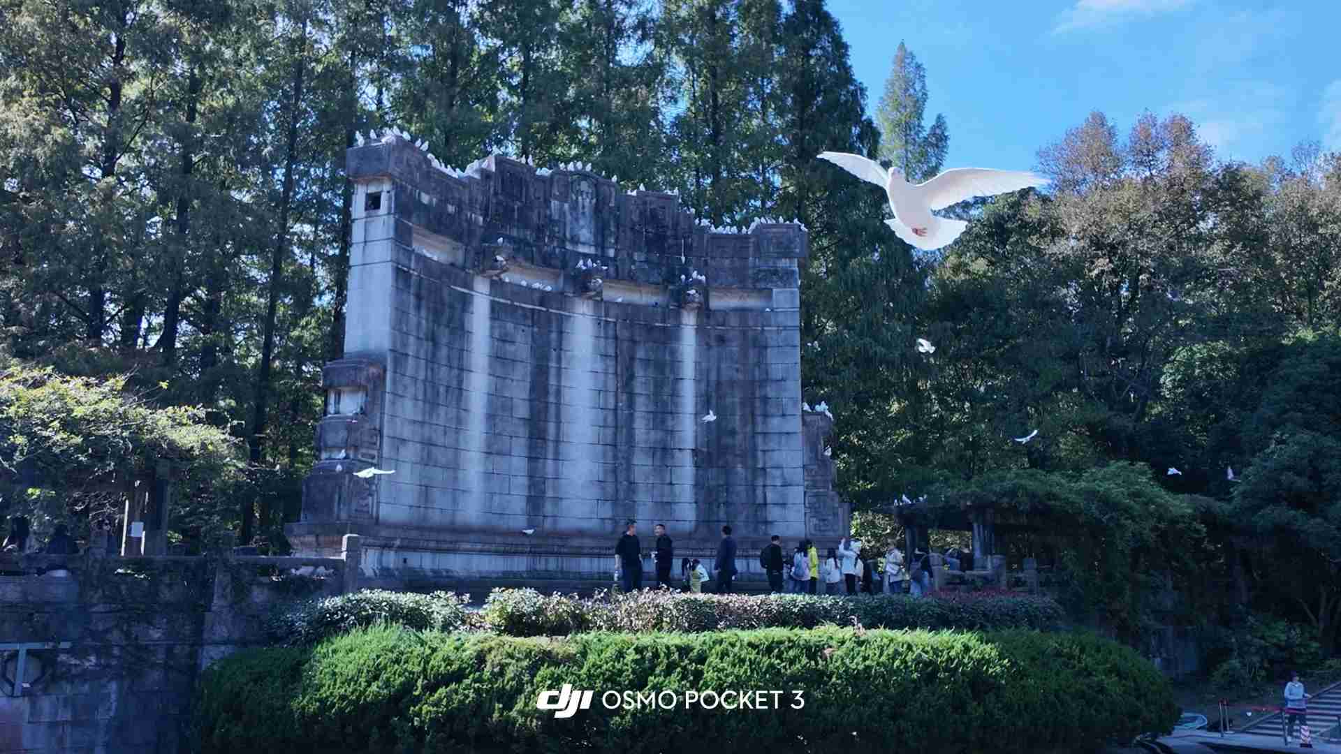 DJI Pocket 3 Experience: A Female College Student's Vlog Journey