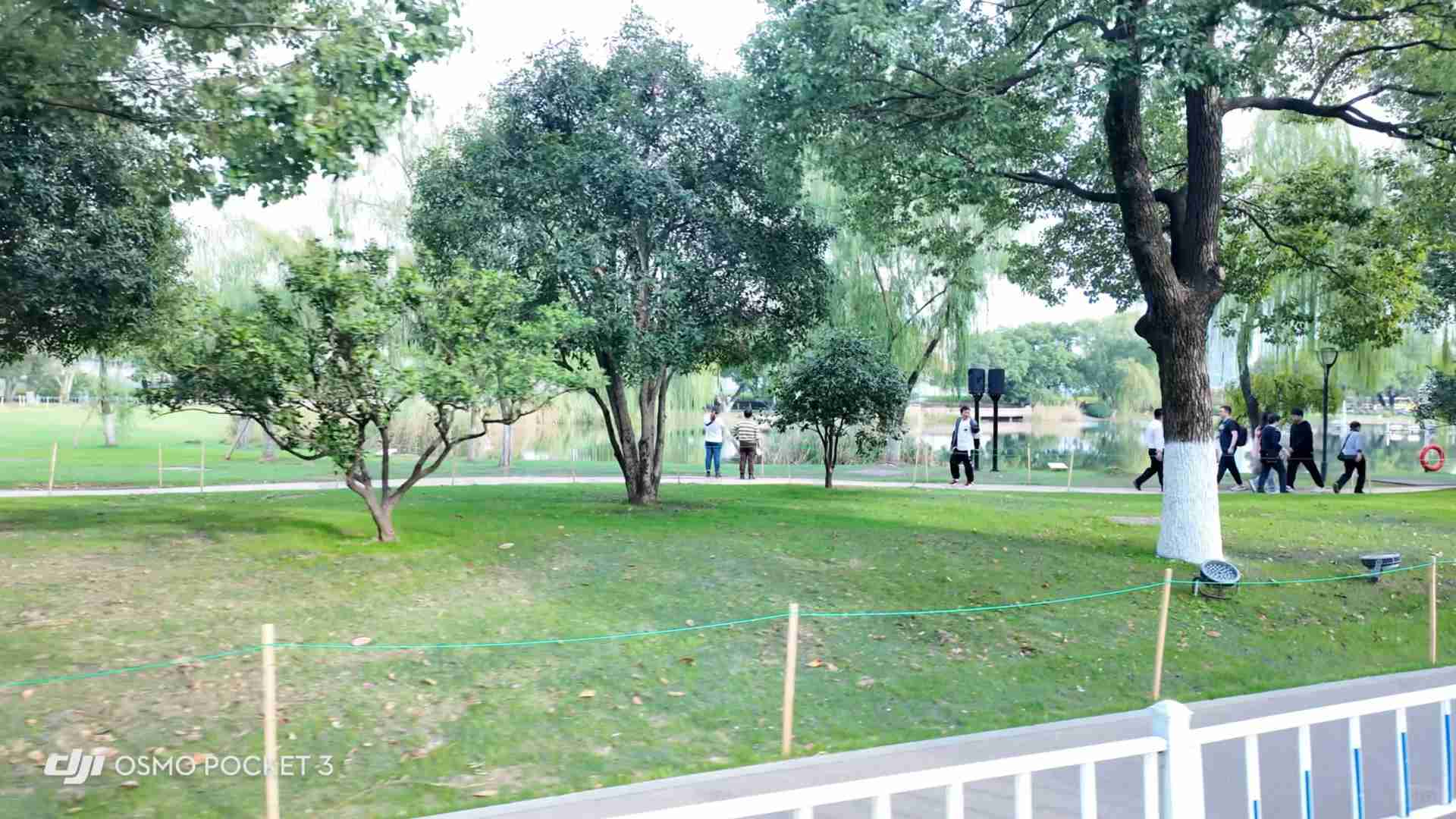 DJI Pocket 3 Usage Experience: Compact Camera, Stabilization Review