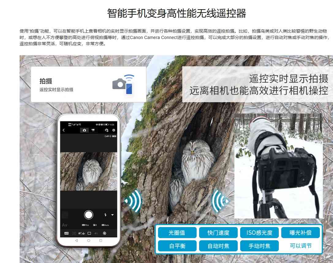Free Mobile Phone Software to Use as Canon Camera Monitor for Photography