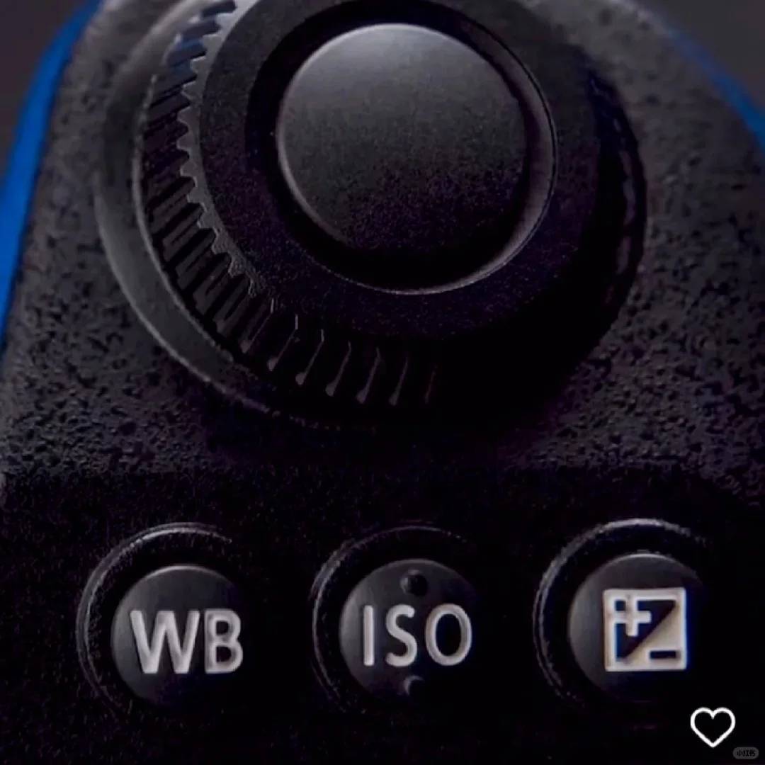 Leaked: New Lumix S1II/S1IIE/S24-60 Camera Specifications and Release Date