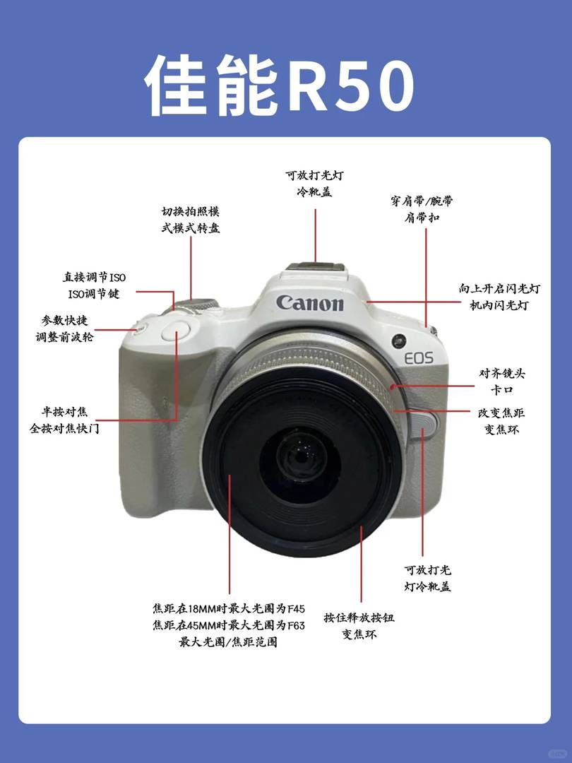 Master Your Canon R50: Essential Tips and Tricks for Stunning Photos