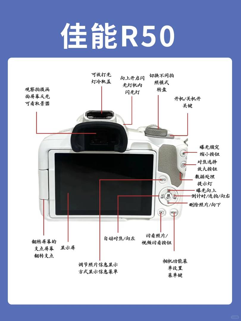 Master Your Canon R50: Essential Tips and Tricks for Stunning Photos