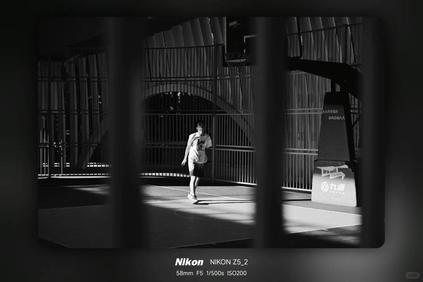 Nikon Z5II User Experience Review: Affordable Full-Frame Camera Under $1500