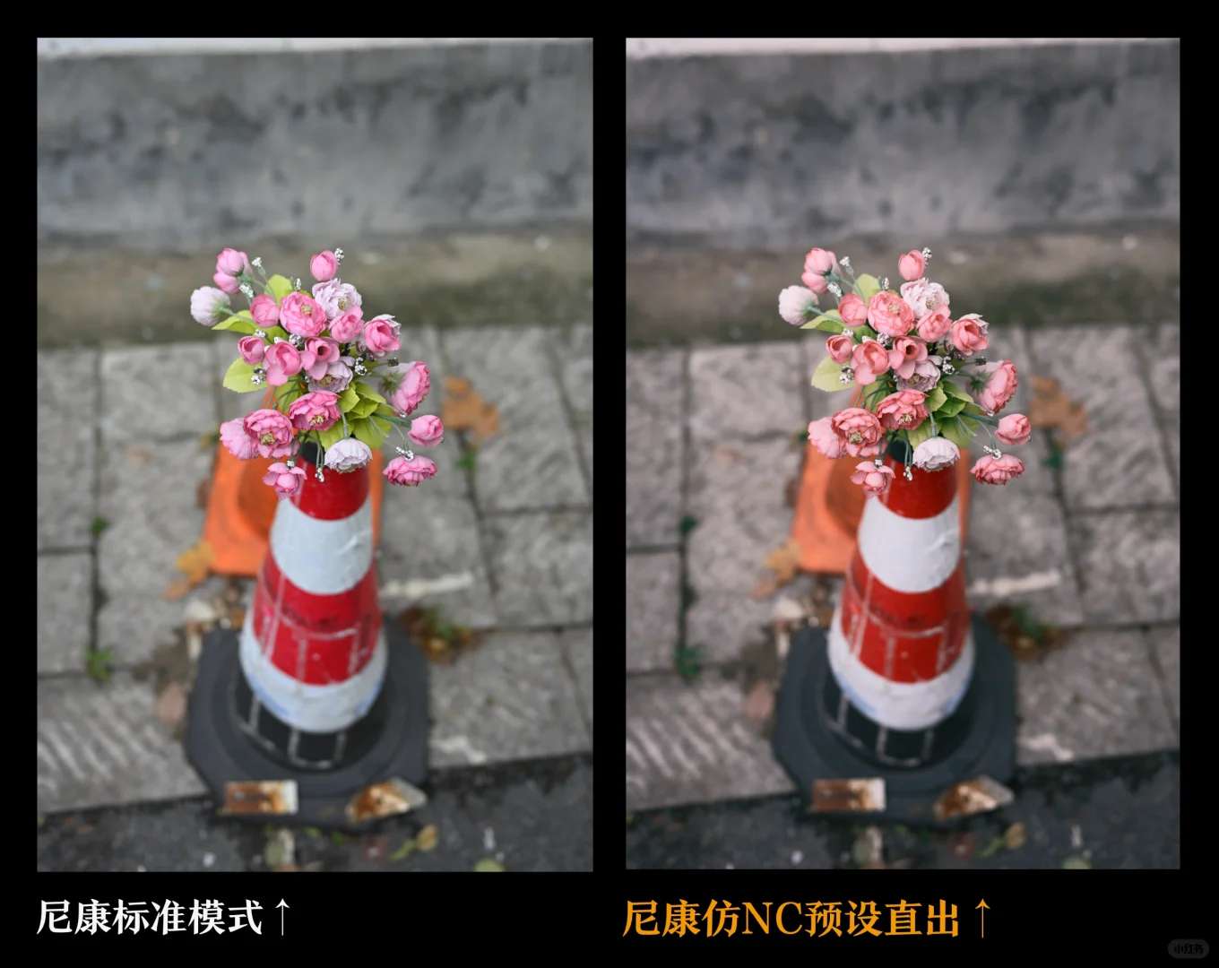 Nikon ZF vs Fuji Full-Frame Cameras: Today's Official Release Comparison