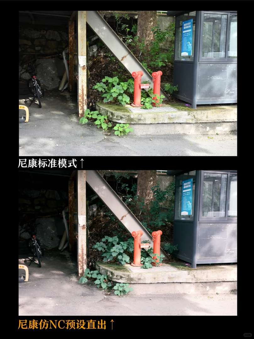 Nikon ZF vs Fuji Full-Frame Cameras: Today's Official Release Comparison