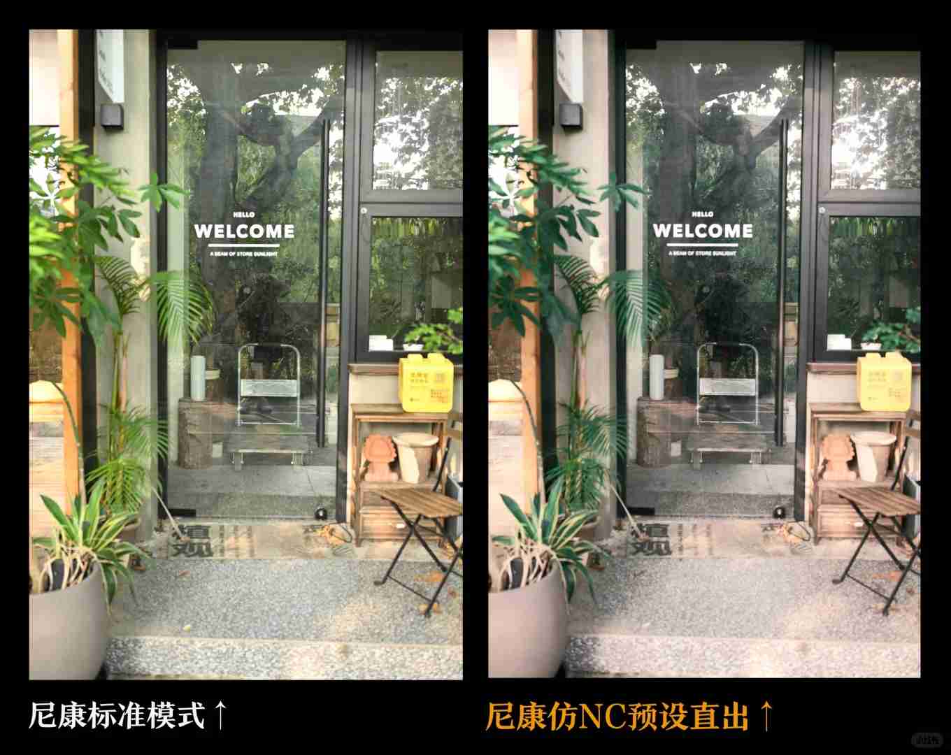 Nikon ZF vs Fuji Full-Frame Cameras: Today's Official Release Comparison