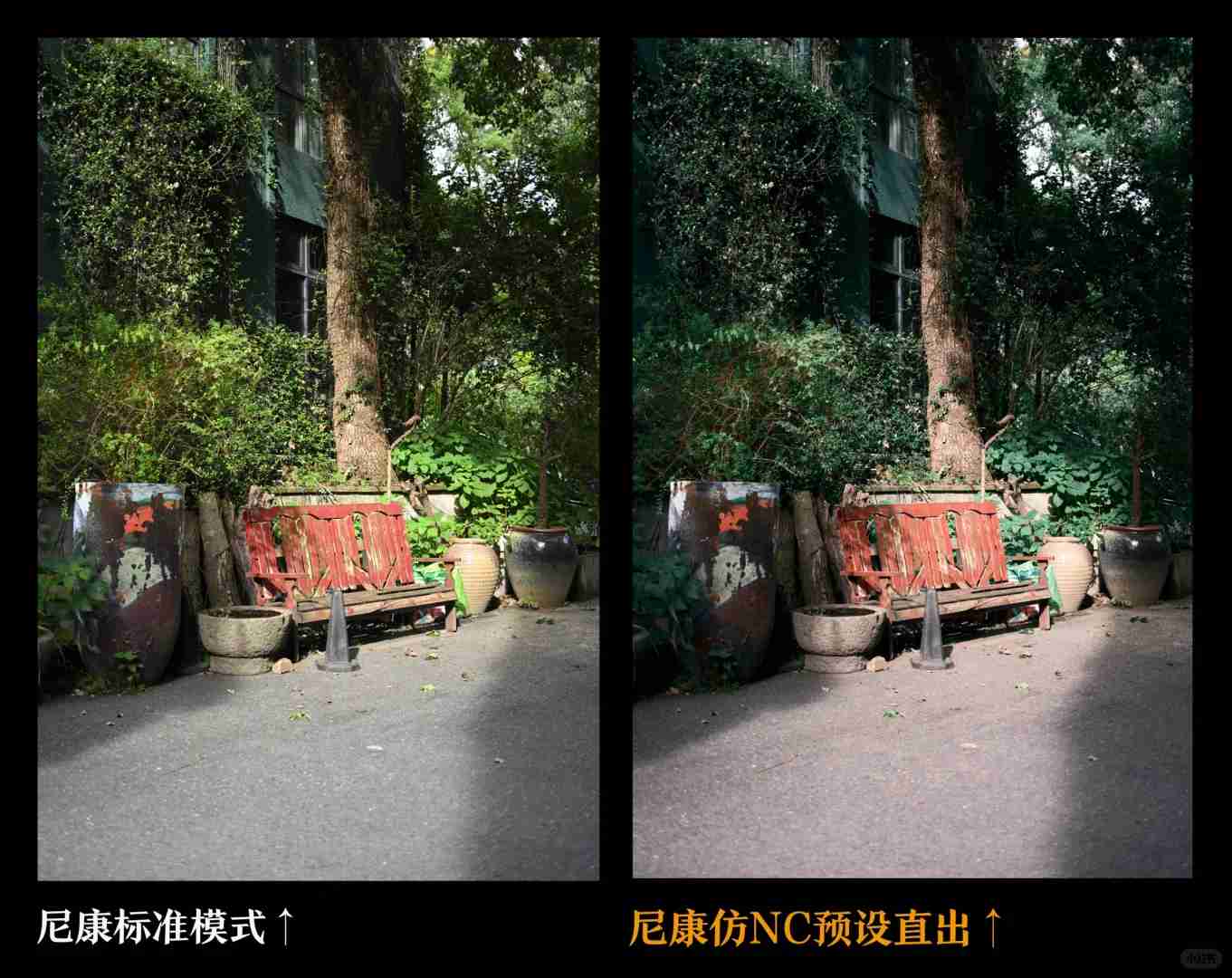 Nikon ZF vs Fuji Full-Frame Cameras: Today's Official Release Comparison