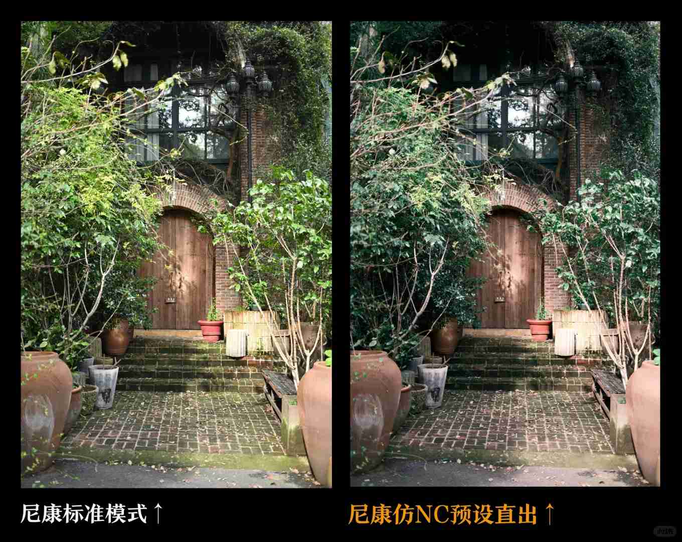 Nikon ZF vs Fuji Full-Frame Cameras: Today's Official Release Comparison