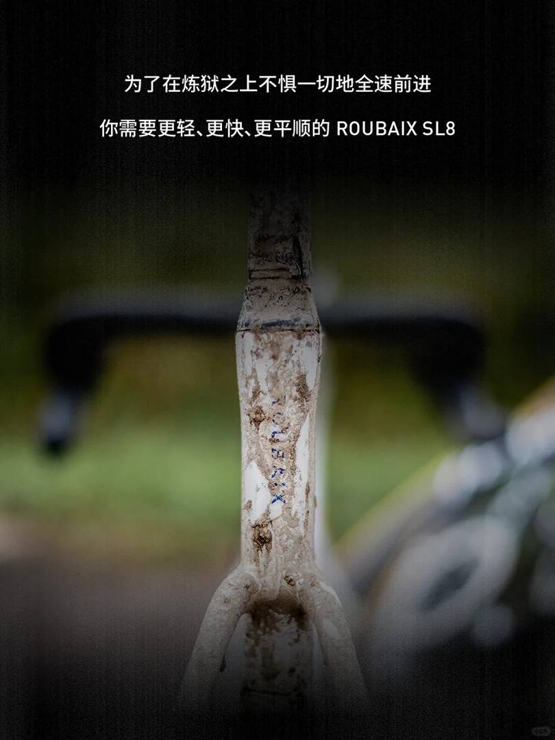 S-Works Roubaix SL8 Red Bull-Bora Team Limited Edition Bike