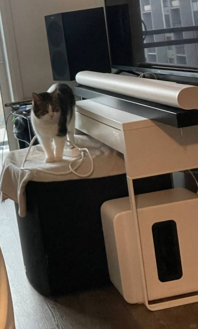 Sonos Arc Ultra Soundbar with Sub Gen 4 for Immersive Home Audio Experience