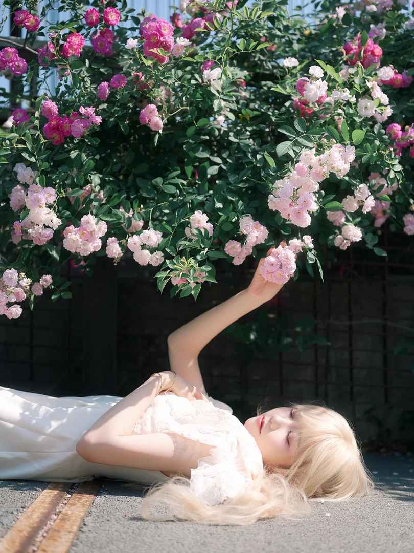 Why Do Roses Have Thorns and How to Care for Rose Bushes