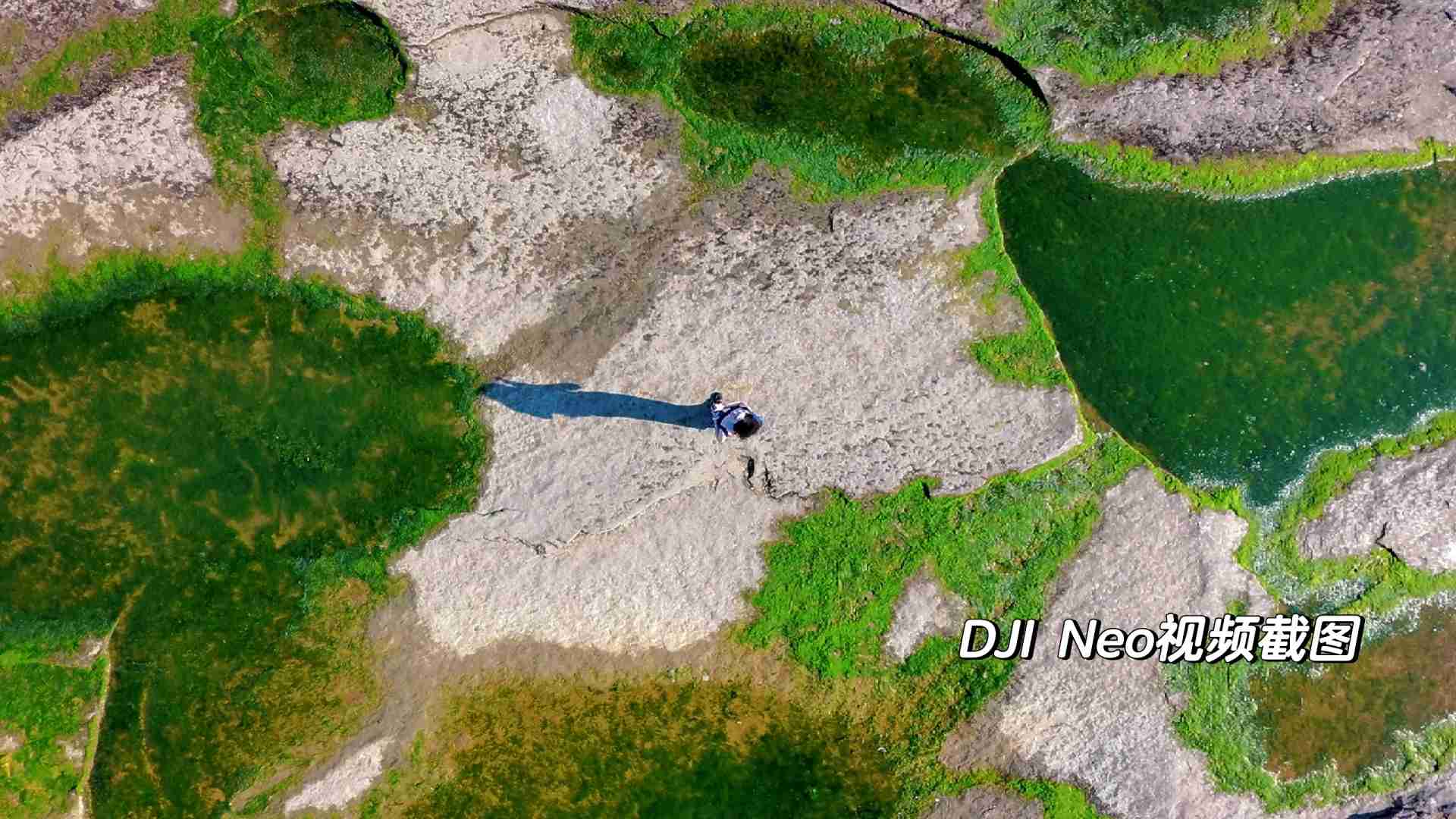 لماذا أندم على شراء DJI Neo: مراجعة تجربة المستخدم الحقيقية