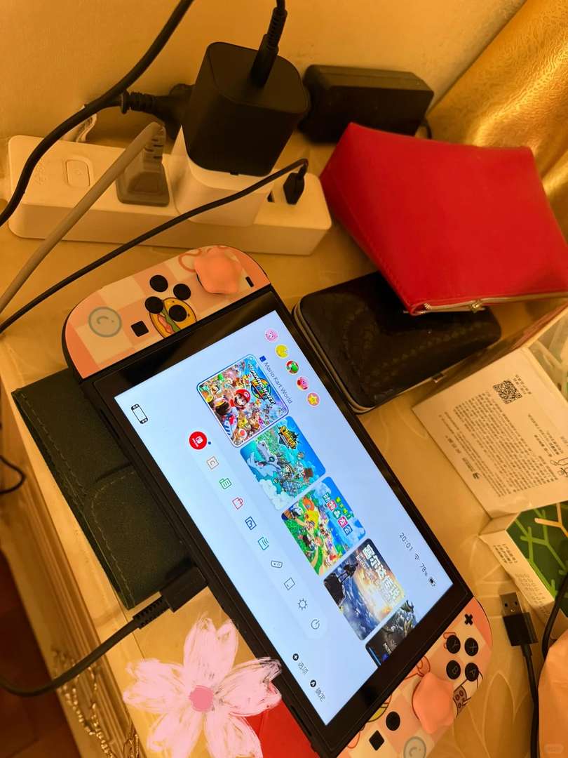 Switch2 Bug Reveals New Software Development Opportunities