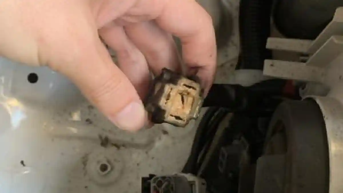 Harnais Lightfox pour Toyota Prado